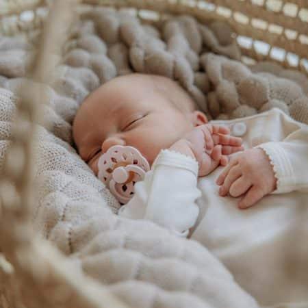 Pack 2 Chupetas BIBS boheme - Ivory/blossom - Mini-Me - Baby & Kids Store