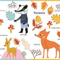 Um Livro Diferente - Animais Selvagens - Mini-Me - Baby & Kids Store