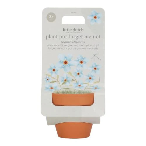 Vaso de Plantas Forget-Me-Not | Little Dutch - Mini-Me - Baby & Kids Store