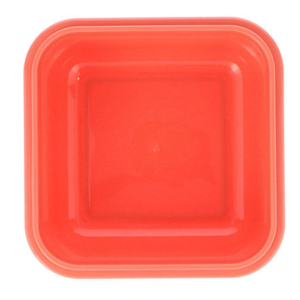 Lancheira grande c/ divisória - Little Garden | Tutete - Mini-Me - Baby & Kids Store