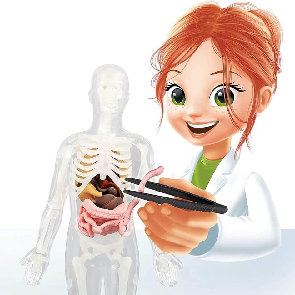 Corpo Humano com Estetoscópio - brilha no escuro | BUKI - Mini-Me - Baby & Kids Store