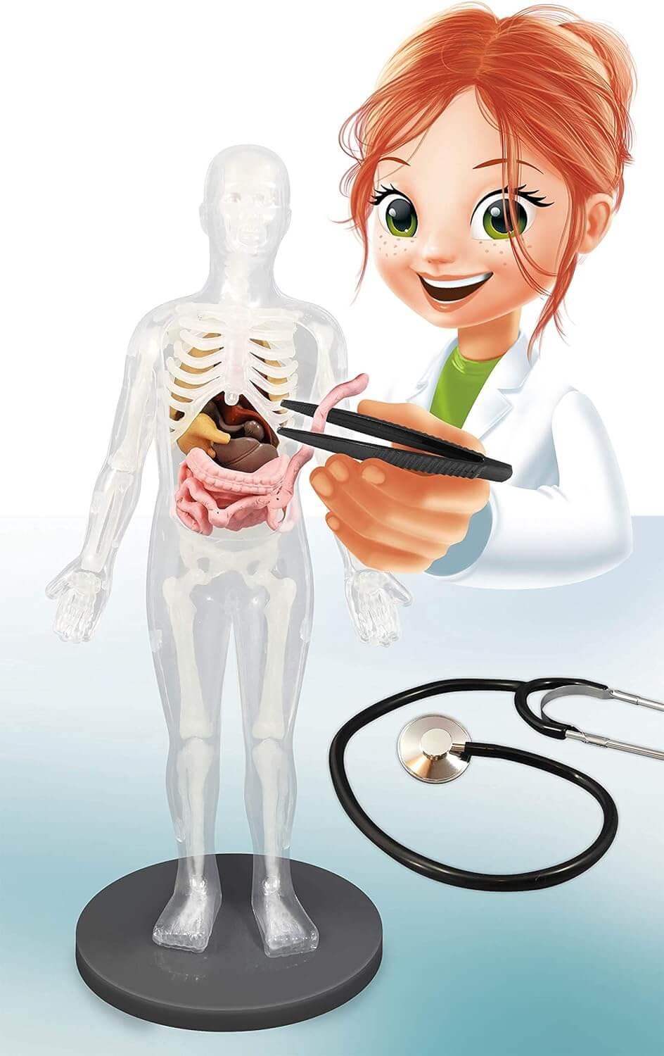 Corpo Humano com Estetoscópio - brilha no escuro | BUKI - Mini-Me - Baby & Kids Store