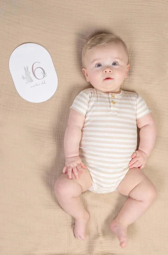 Cartões de Crescimento Baby Bunny FSC - Little Dutch - Mini-Me - Baby & Kids Store