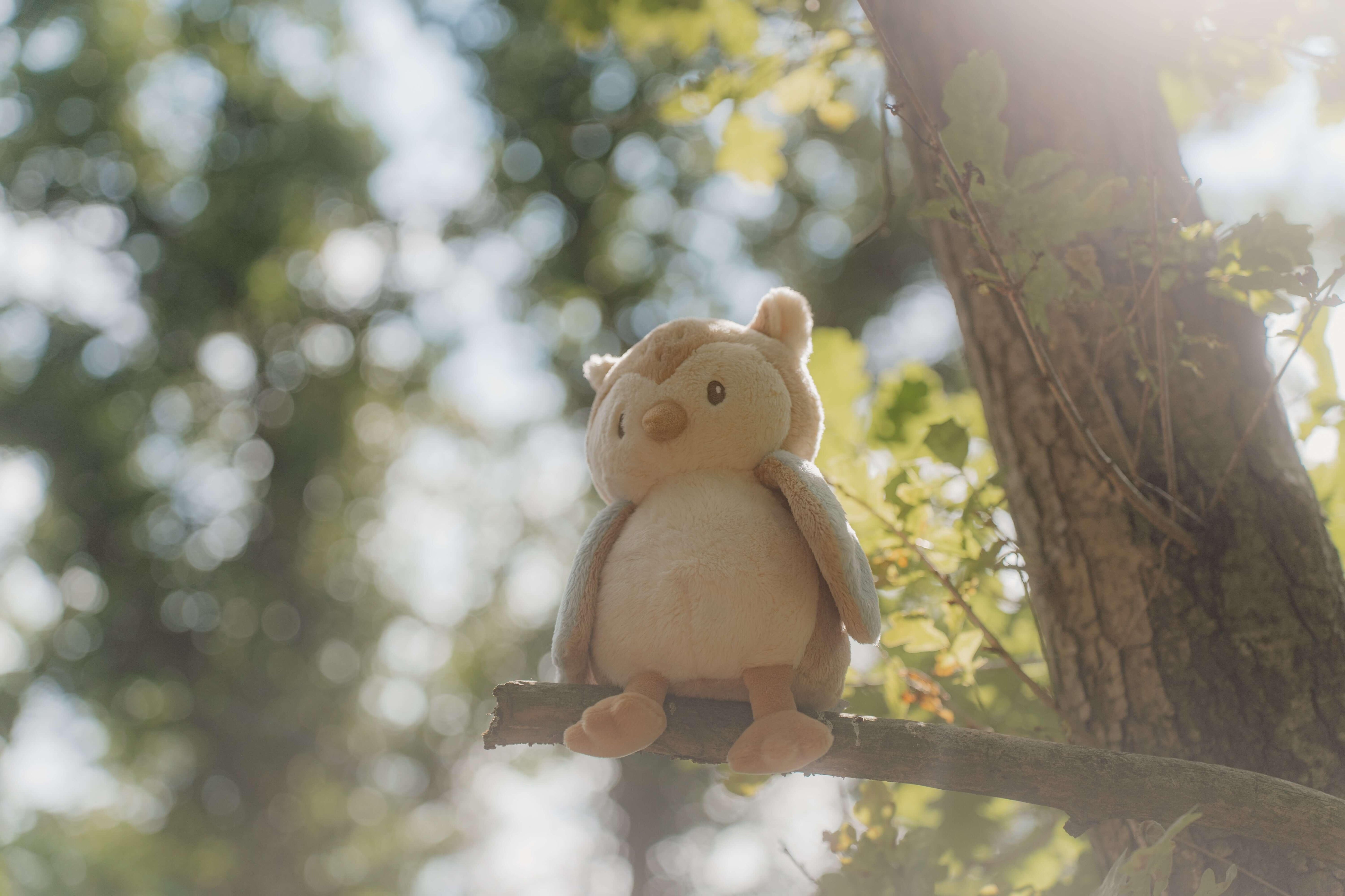 Peluche Coruja - Forest Friends | Little Dutch - Mini-Me - Baby & Kids Store