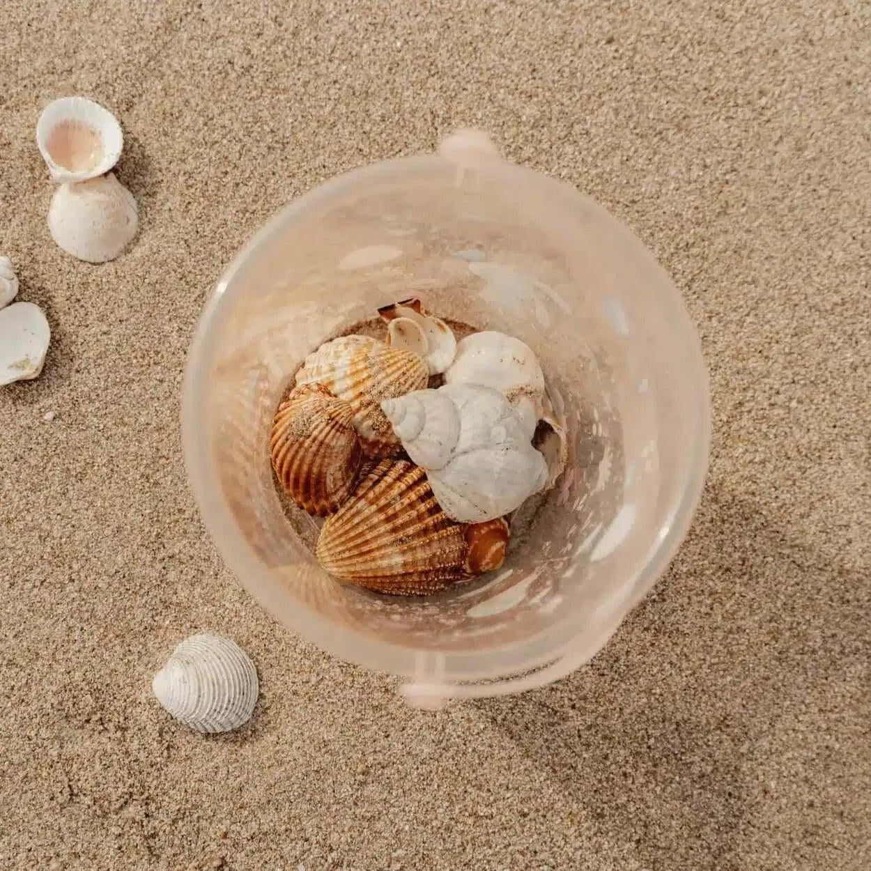 Balde de Conchas Flowers 19cm | Little Dutch - Mini-Me - Baby & Kids Store