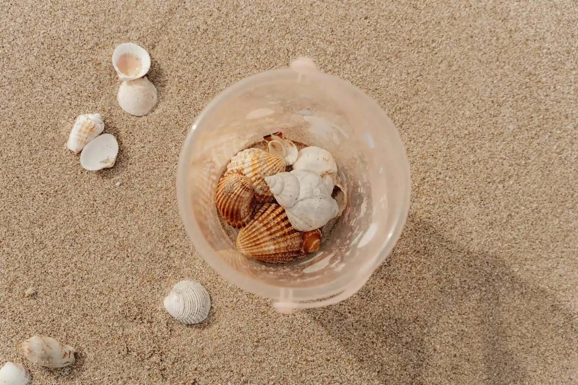 Balde de Conchas Flowers 19cm | Little Dutch - Mini-Me - Baby & Kids Store