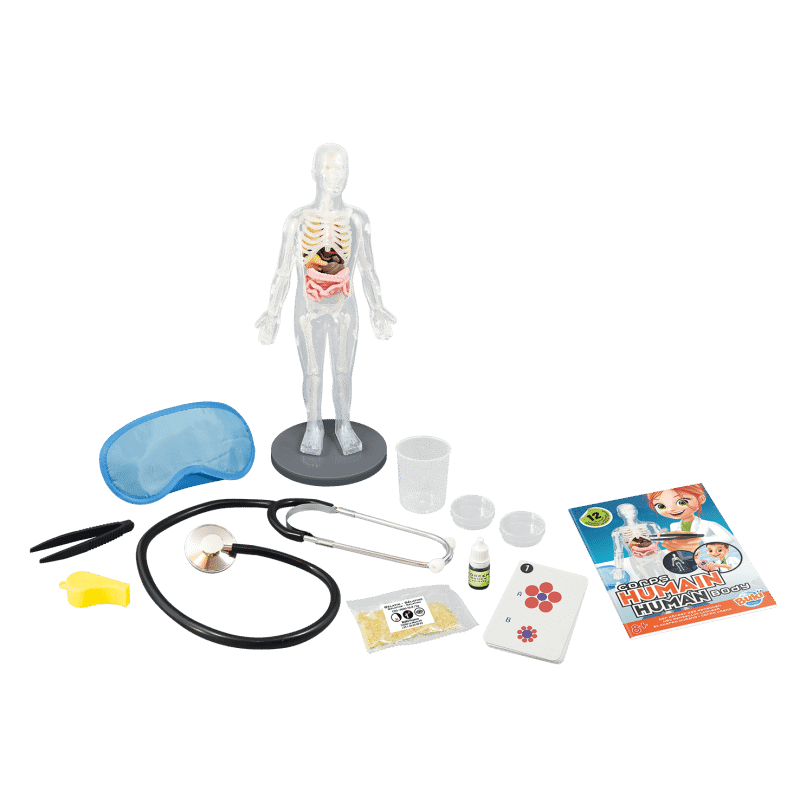 Corpo Humano com Estetoscópio - brilha no escuro | BUKI - Mini-Me - Baby & Kids Store