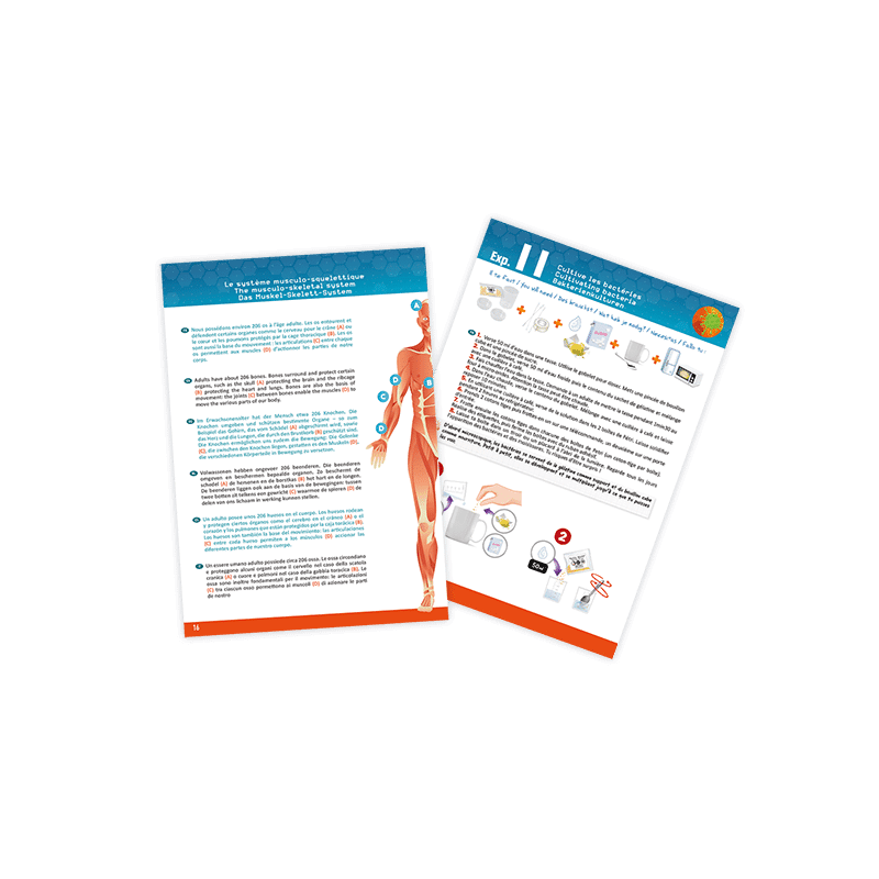 Corpo Humano com Estetoscópio - brilha no escuro | BUKI - Mini-Me - Baby & Kids Store