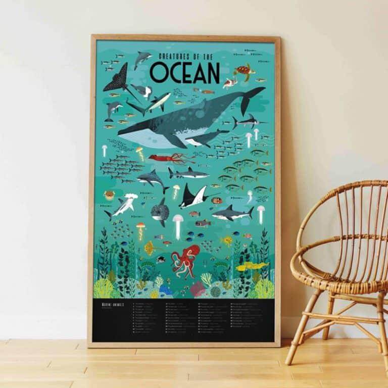 Autocolantes + Poster Discovery - Oceano | Poppik - Mini-Me - Baby & Kids Store