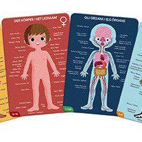 Puzzle Educativo gigante Corpo Humano | Janod - Mini-Me - Baby & Kids Store