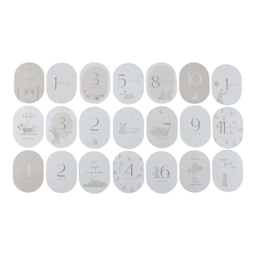 Cartões de Crescimento Baby Bunny FSC - Little Dutch - Mini-Me - Baby & Kids Store