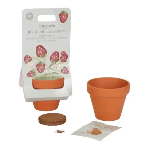 Vaso de Plantas – Morangos – Little Dutch - Mini-Me - Baby & Kids Store