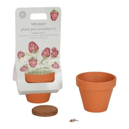 Vaso de Plantas – Morangos – Little Dutch - Mini-Me - Baby & Kids Store